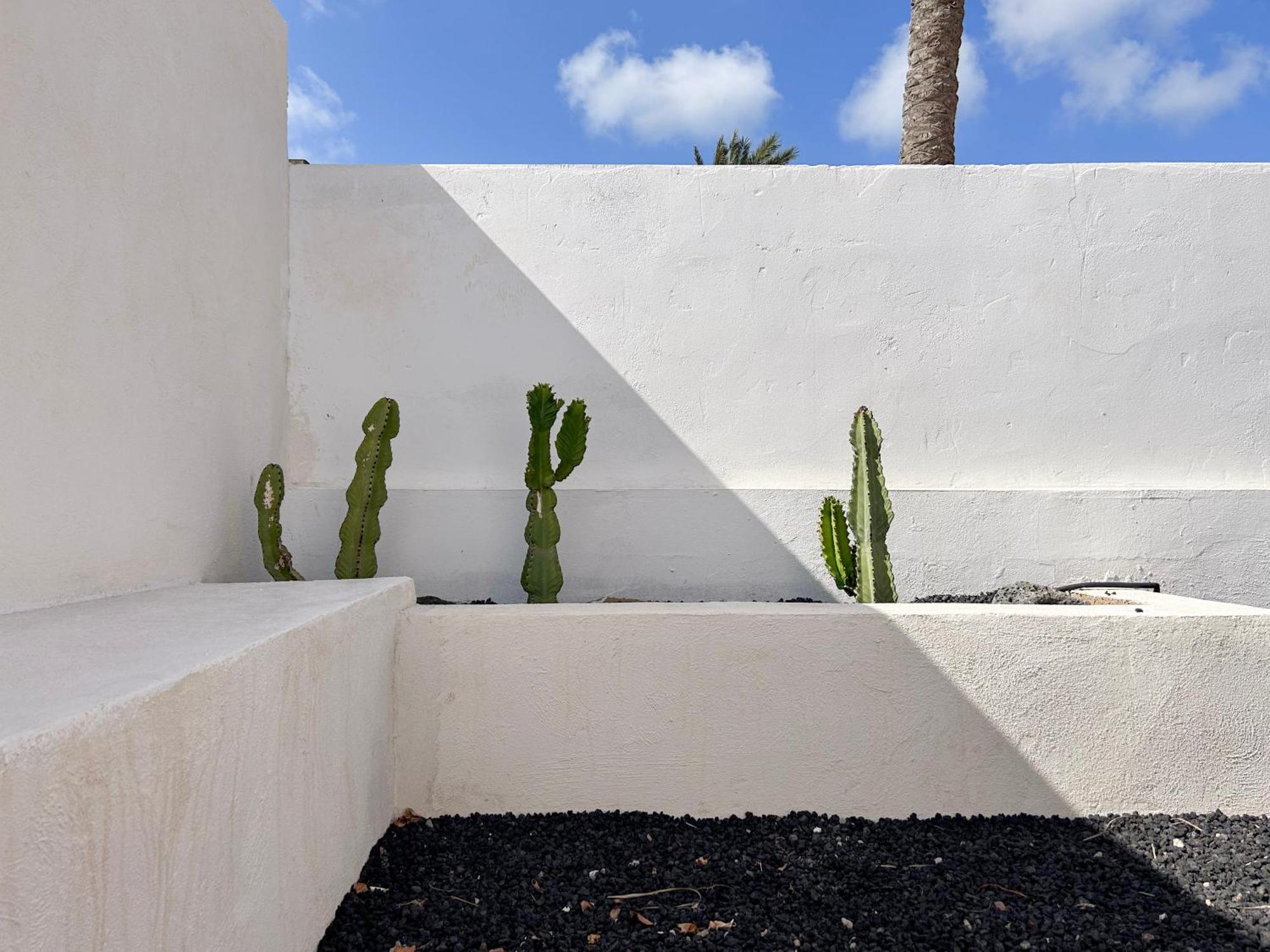 House Boho Palm With Private Heated Pool And Garden, 3 Bedrooms, Wi-Fi Corralejo Exterior photo